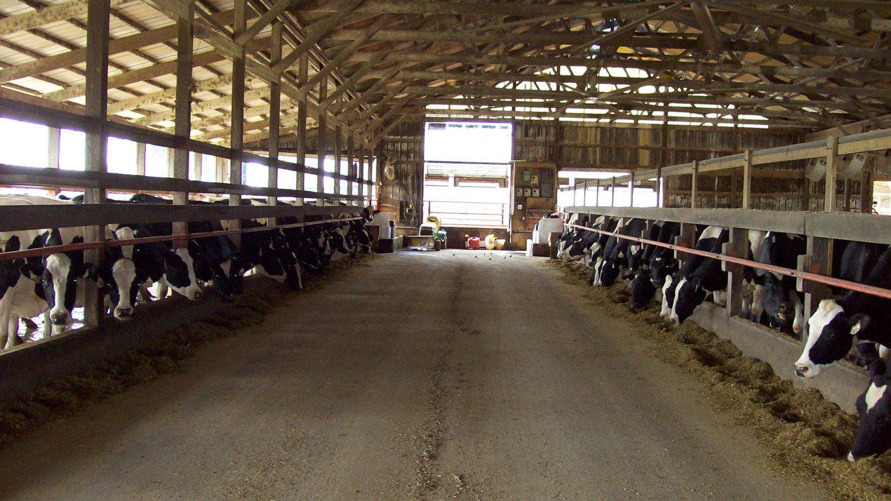 NMPF: Trade Rep Needs to Address Dairy’s Trade Barriers