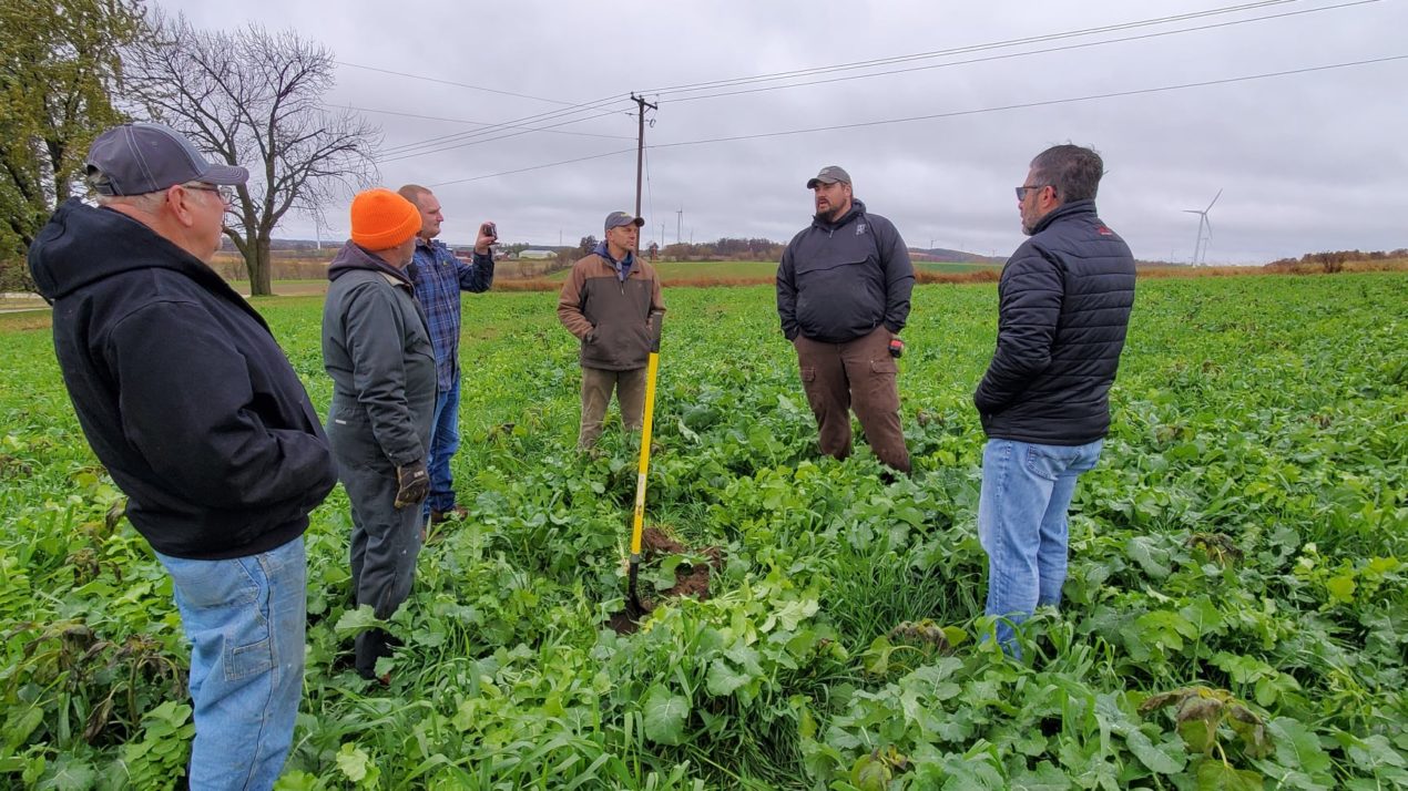 Real-Time Proof: Heavy Rains Prove Value of Cover Crops