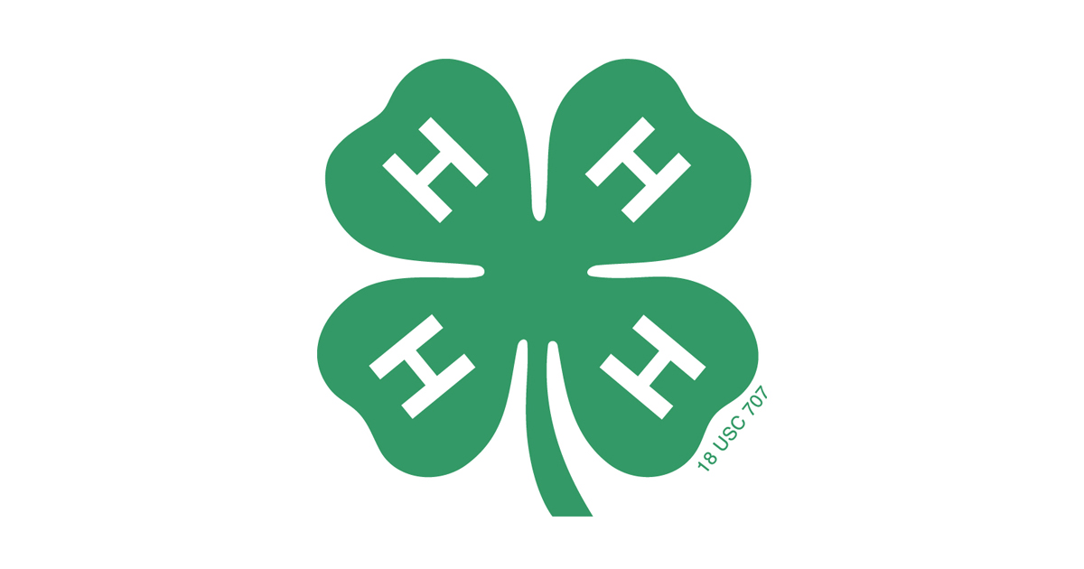 2021 Wisconsin 4-H Foundation Scholarship Applications Now Being Accepted