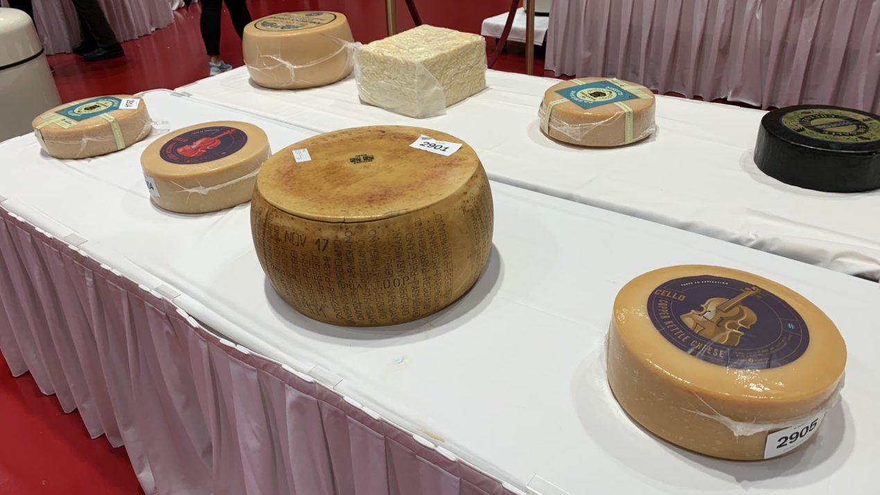 Bid on Award-Winning Cheeses at Virtual Championship Cheese Auction