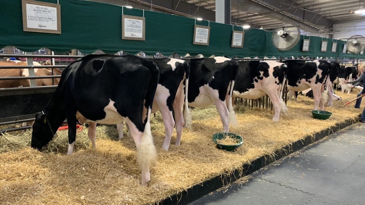 Dane County Offers 10 Year Contract Extension to Keep World Dairy Expo in Madison