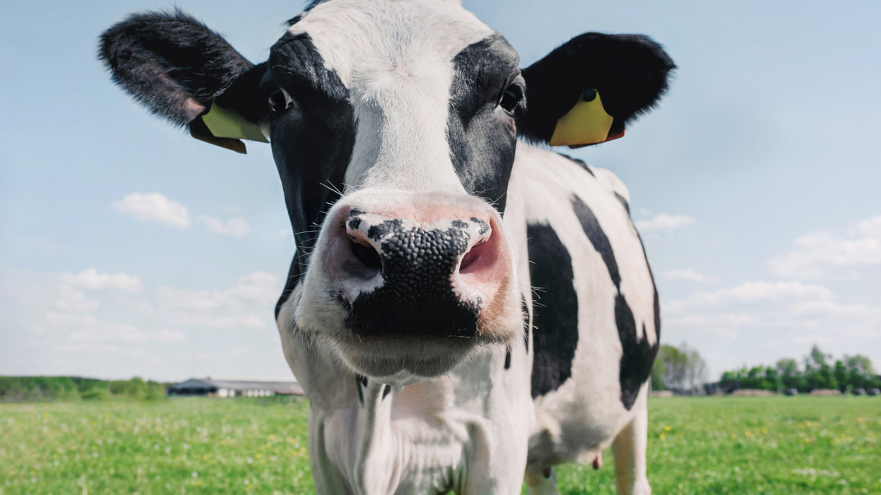 Washington County Dairy Promotion Announces New June Event