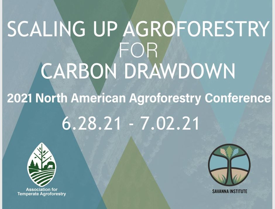 Agroforestry For Carbon Drawdown
