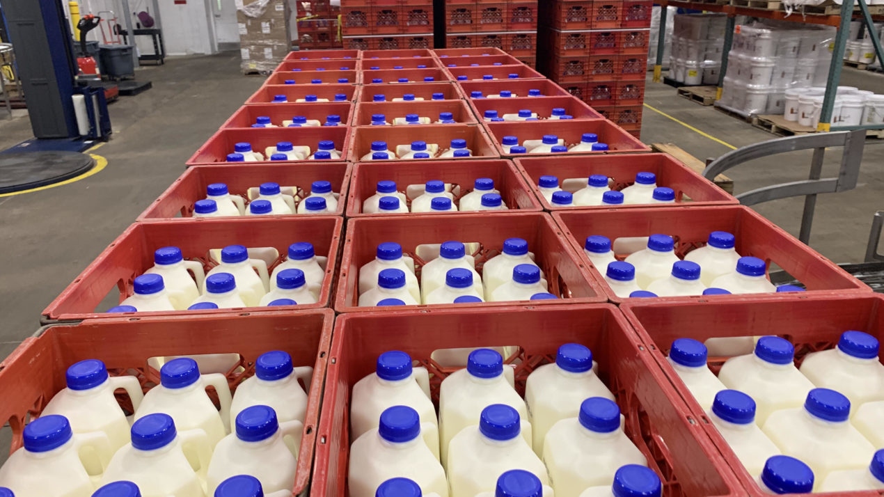 Wisconsin Milk Price Improves