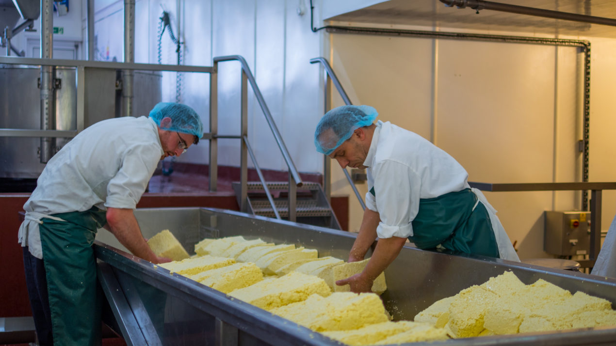 Cheese Makers Create New Committee