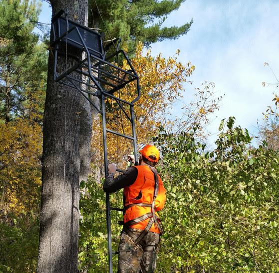 Use Treestands Safely
