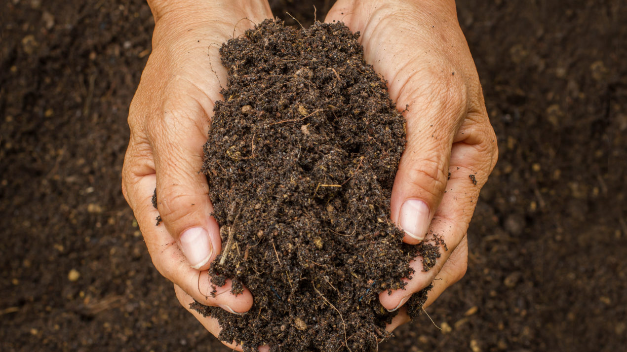 Measuring Soil Health Like Never Before