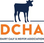 DCHA Offers $1000 Scholarship