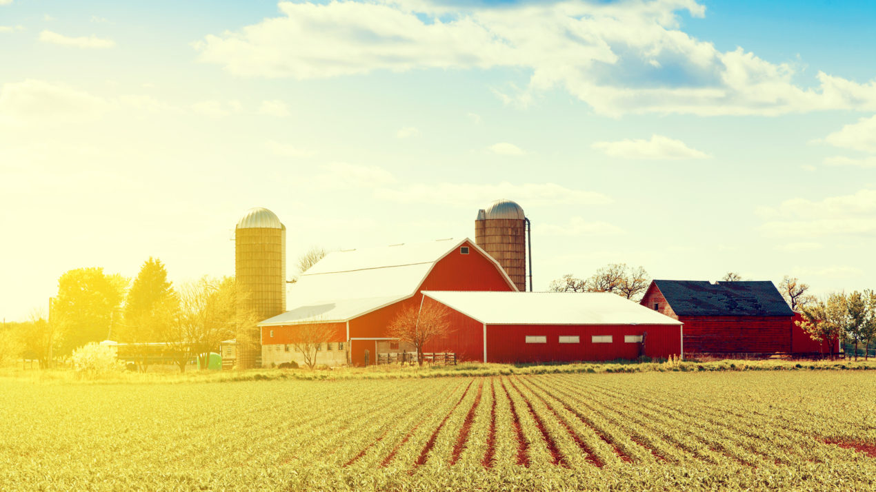 More Than 20,000 WI Farmers Receive Support