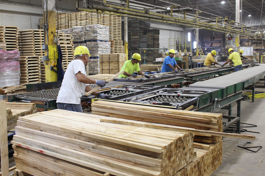 State Strengthens Forest Products Industry