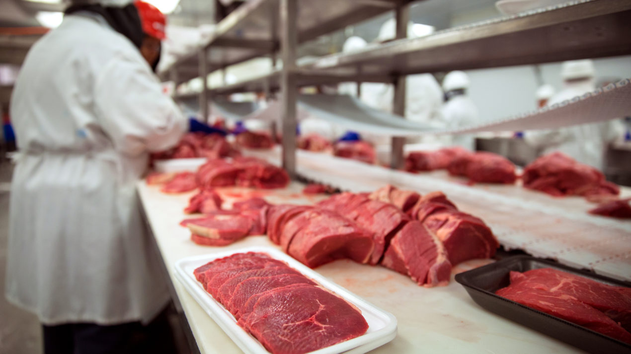 WFU Releases Meat Processing Report