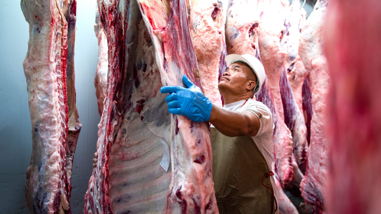 Meat Industry Seeks Talent