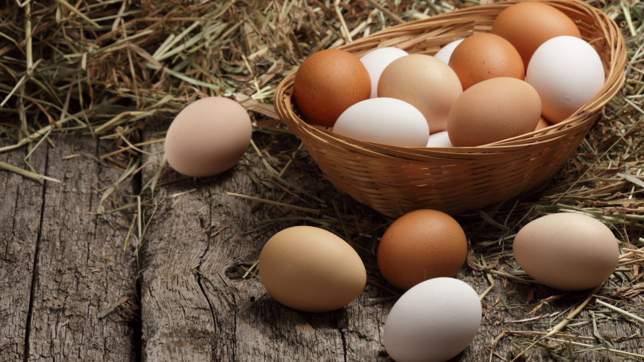 Egg Production Falls In Wisconsin