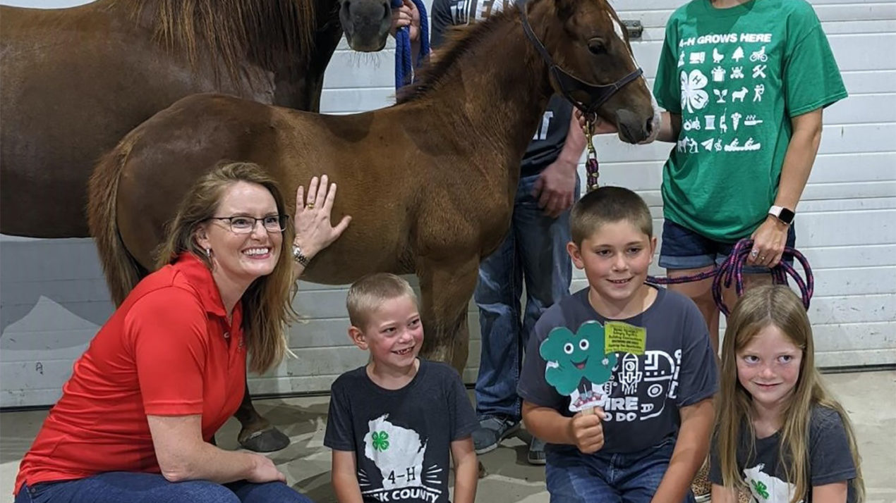 Foaling Around With WI 4-H Wins Awards
