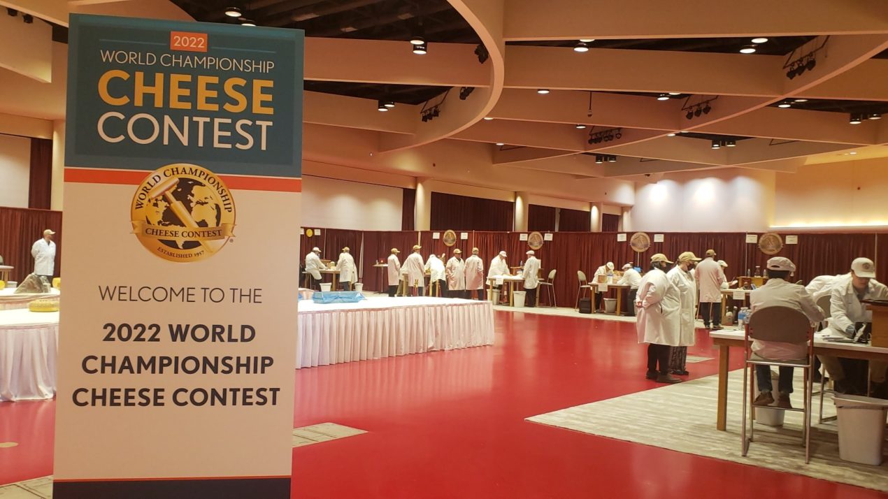 World Championship Cheese Judging Underway