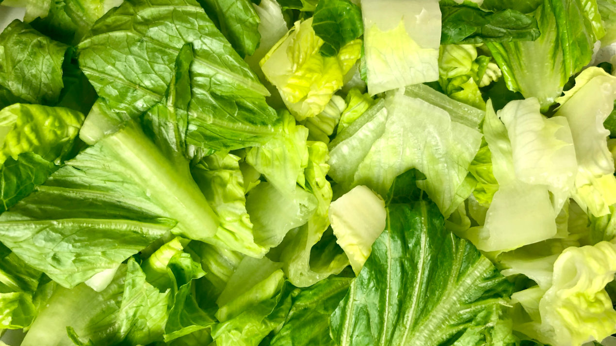 Consumer Advisory: Cyclospora Found In Romaine Lettuce