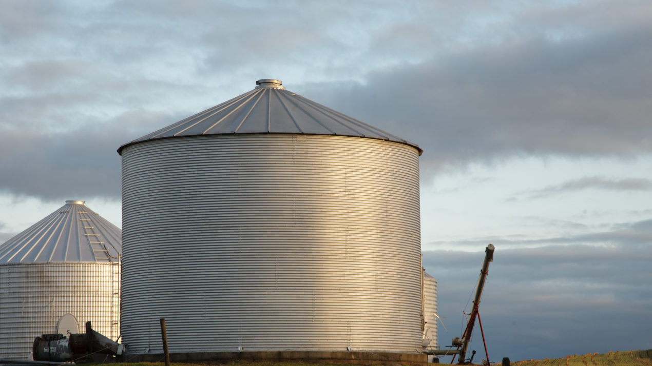 Grain Stocks Reported By USDA