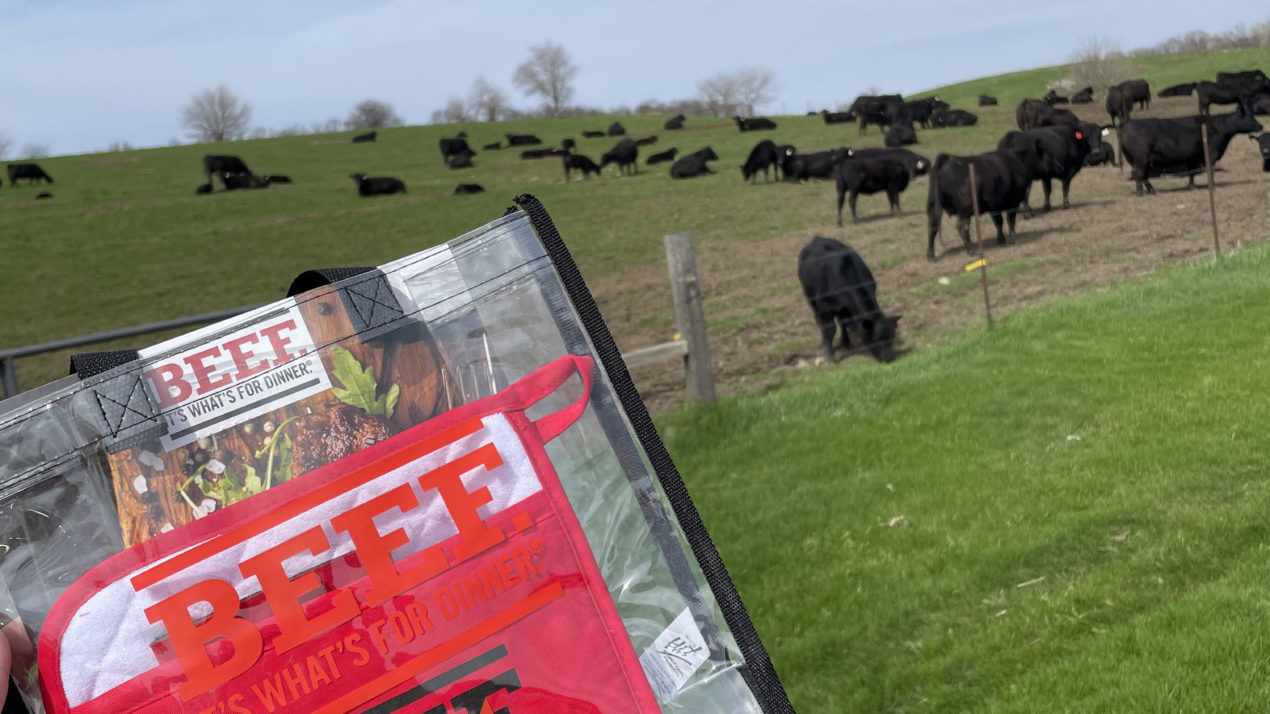 Beef Numbers On The Rise