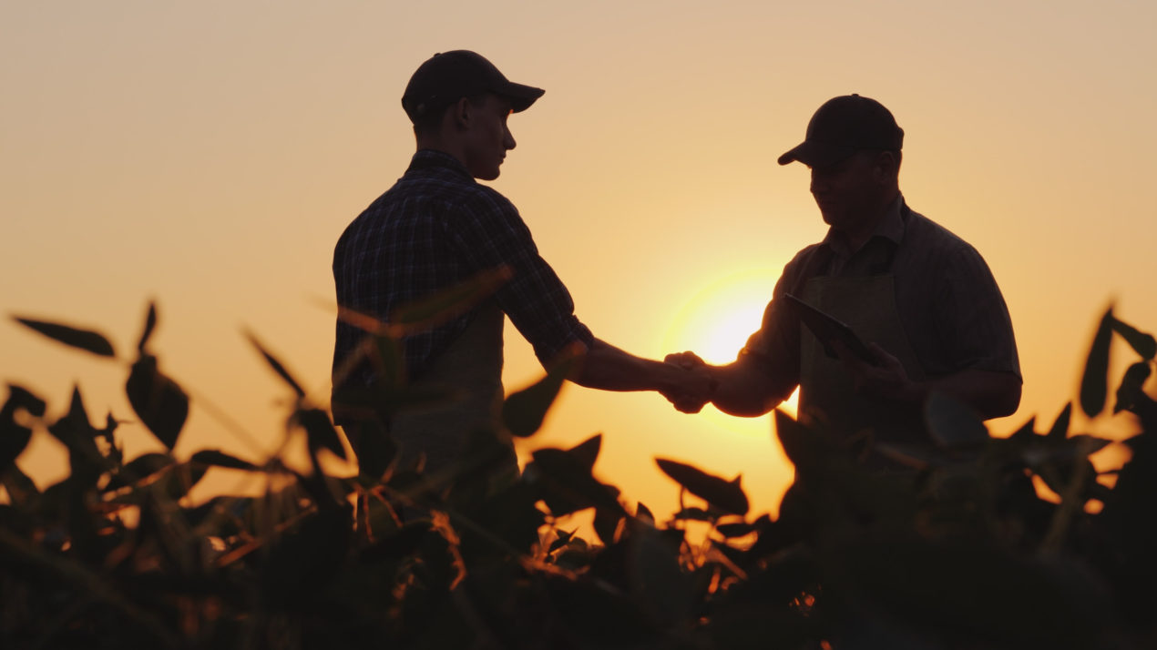 Navigating Relationships During Farm Transitions
