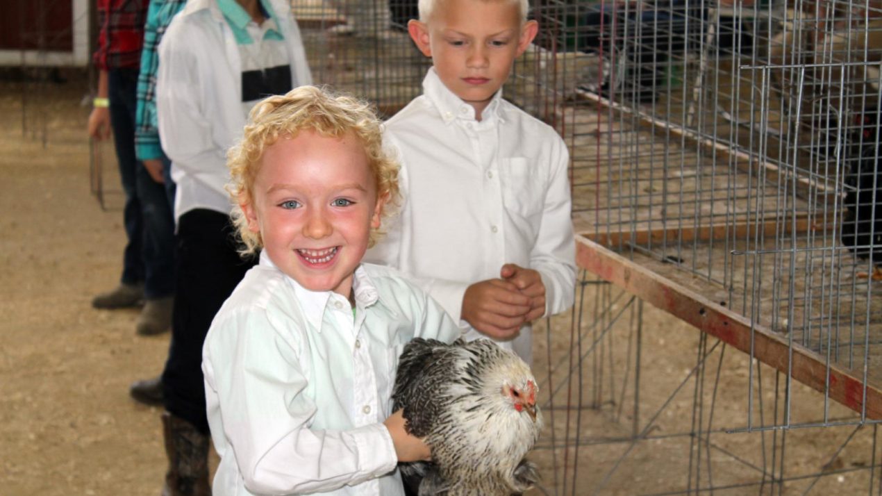 WI State Fair Pushes Pause On Poultry