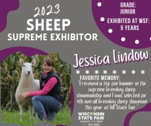 Lindow The Sheep Supreme Exhibitor