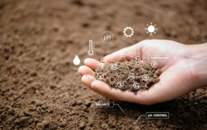 Maximizing Water Quality in Soil Health Systems