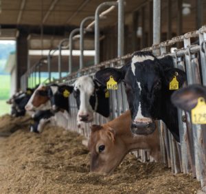 Extension, DNR Host Annual CAFO Workshops