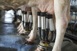 Southwest U.S. Sees Big Milk Drops