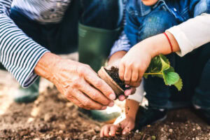 Enjoy Gardening With Your Family